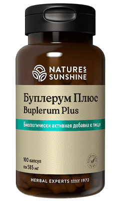 Bupleurum Plus