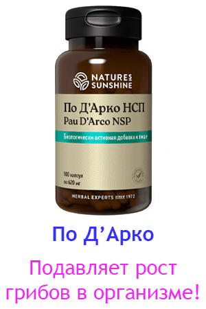 Паударко nsp